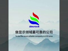 2.96 Inch TFT LCD Module