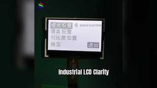 3.8寸 DG-128064-384